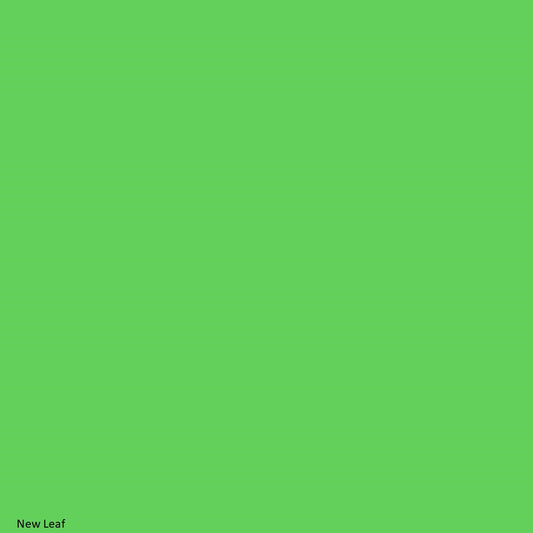 Bazzill Basics New Leaf Green Smoothies Cardstock 12x12 Scrapbook Paper