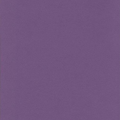 Copy of Bazzill Boysenberry Delight Smoothies Cardstock 12x12 302232
