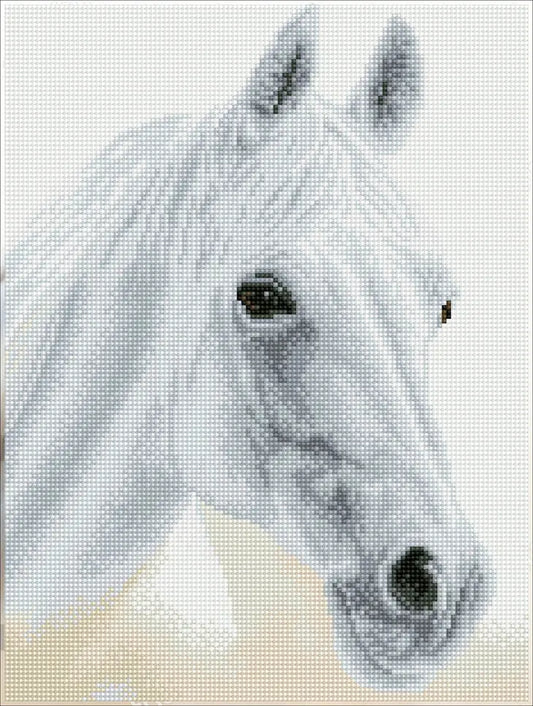 Arabian Beauty White Horse Diamond Art Kit by Diamond Dotz