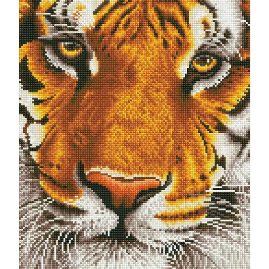 Bengal Magic Tiger Diamond Painting Art Kit Diamond Dotz