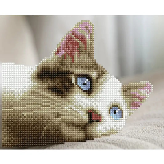 Daydream Kitty Cat Diamond Painting Art Kit by Diamond Dotz