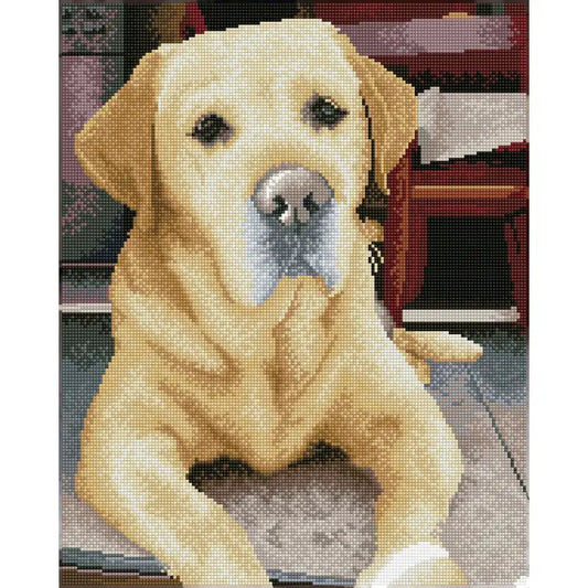 King Yellow Labrador Diamond Dotz Painting Art Kit