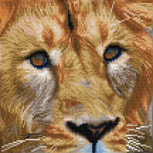 Serengeti Magic Lions Face Diamond Dotz Painting Art Kit