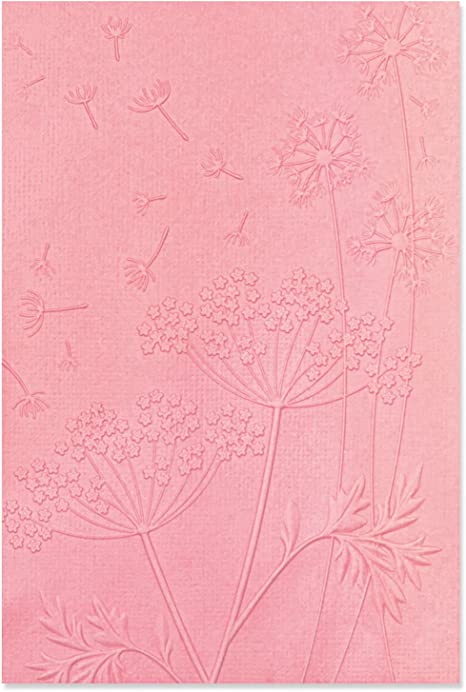 Sizzix 3D Embossing Folder Summer Wishes Textured Impressions A6